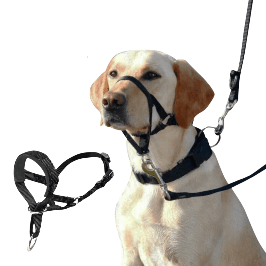 Muzzle for dogs - Pawtique