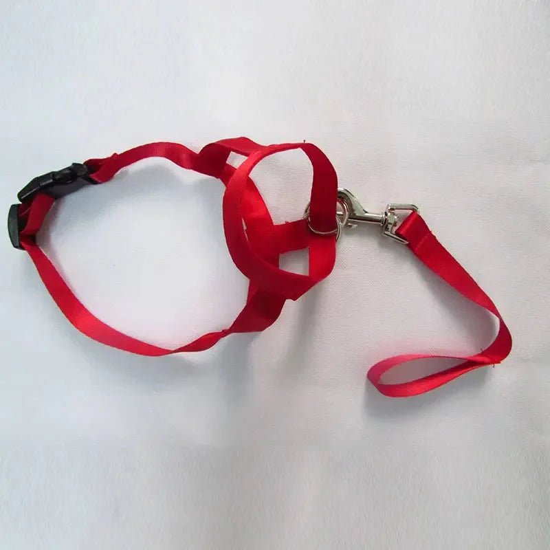 Muzzle for dogs - Pawtique