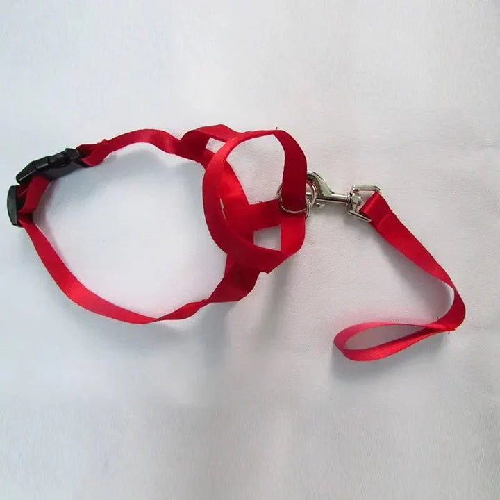 Muzzle for dogs - Pawtique