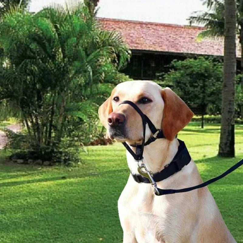 Muzzle for dogs - Pawtique