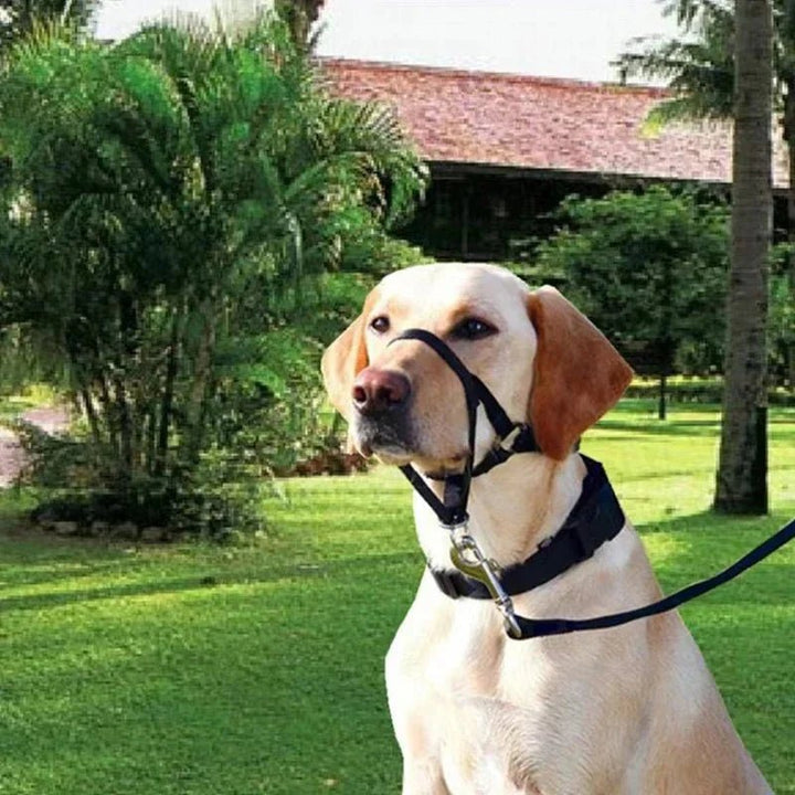Muzzle for dogs - Pawtique