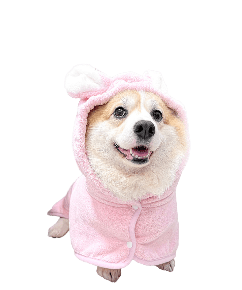 New Quick - Drying Absorbent Pet Bathrobe Towel - Pawtique