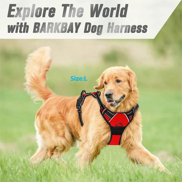 No Pull Dog Harness – For Large Dogs with Front Clip - Pawtique