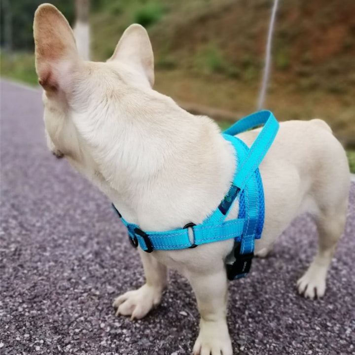 Nylon Dog Harness - Pawtique
