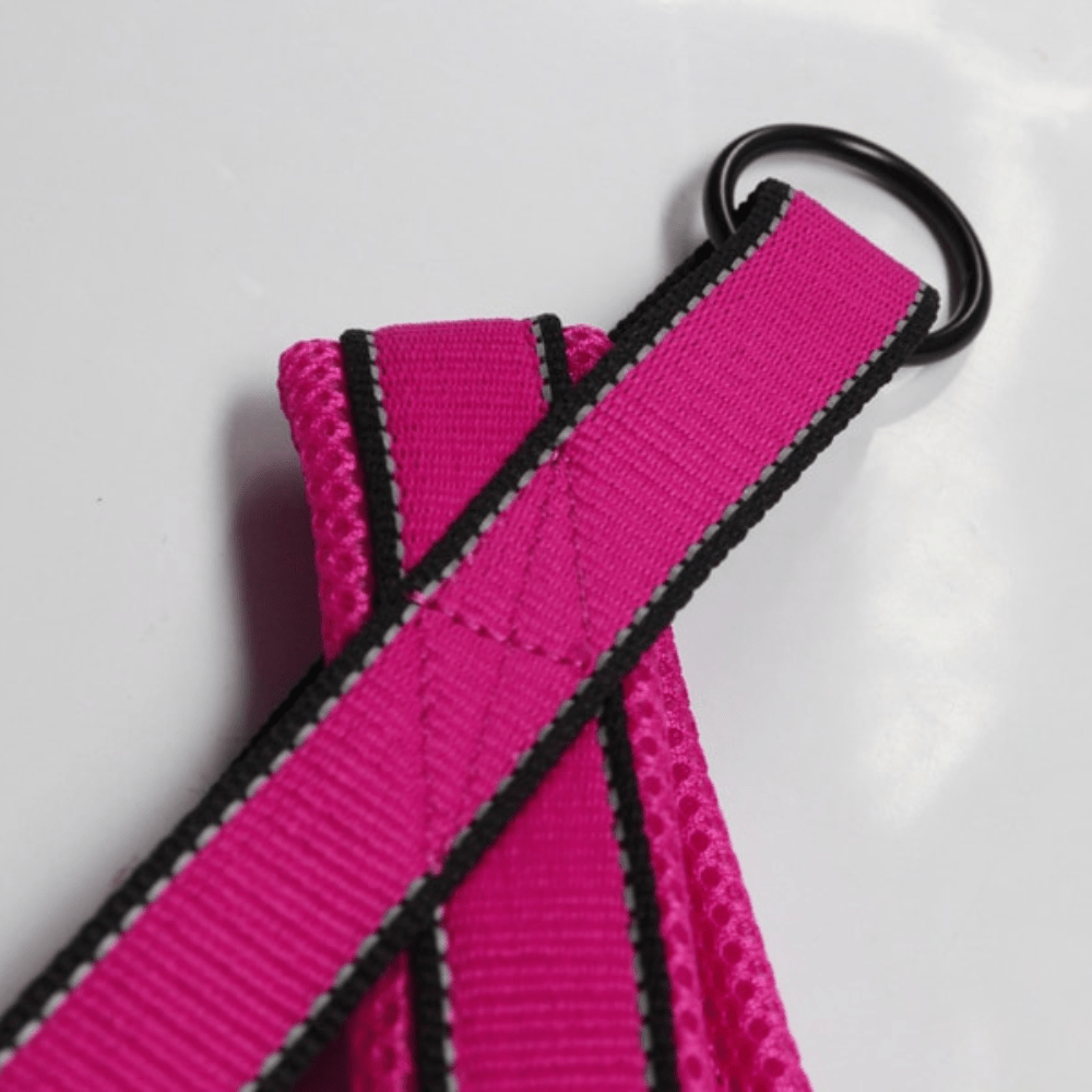 Nylon Dog Harness - Pawtique
