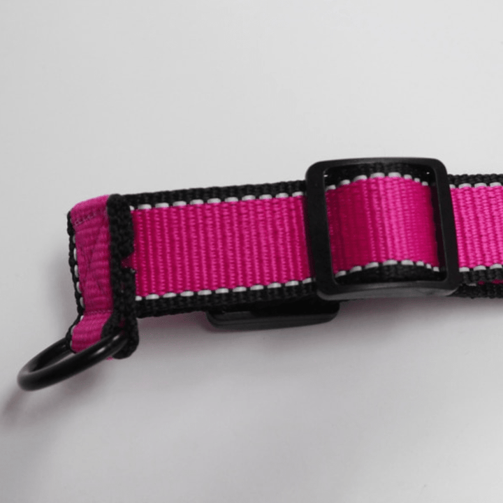 Nylon Dog Harness - Pawtique
