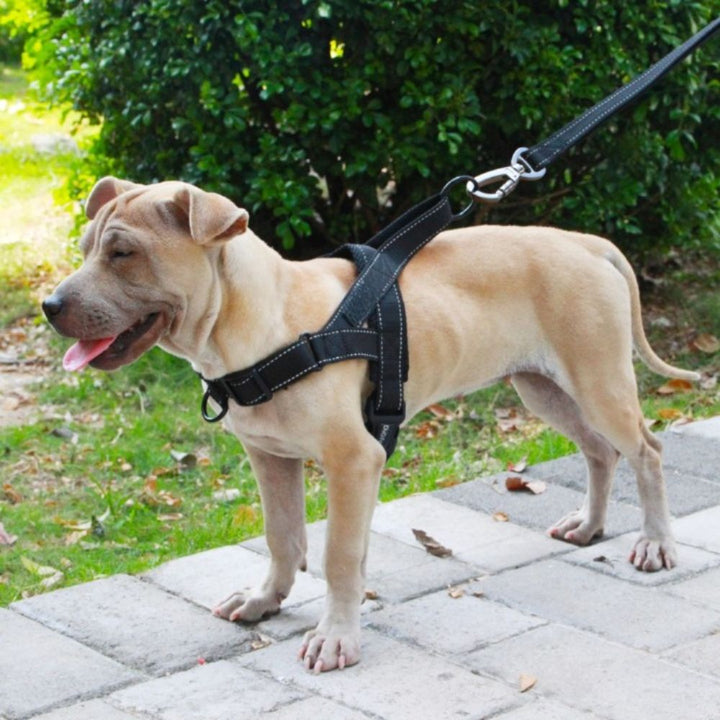 Nylon Dog Harness - Pawtique