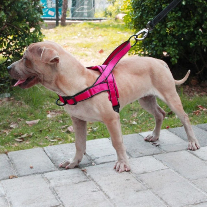 Nylon Dog Harness - Pawtique