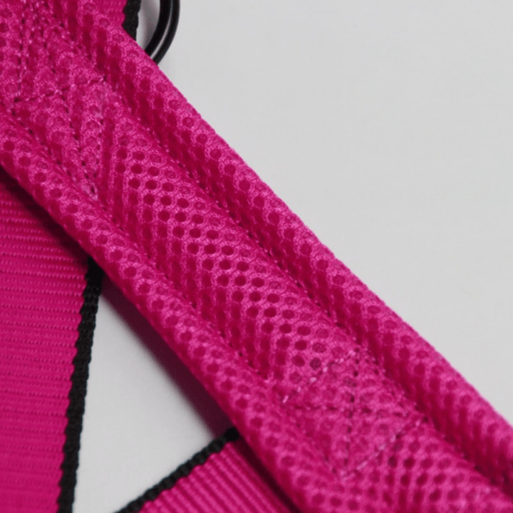Nylon Dog Harness - Pawtique