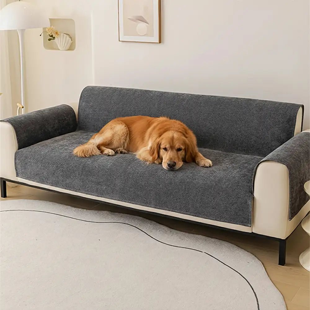 One-Piece Chenille Scratch-Resistant Durable Water-Repellent Non-Slip Couch Cover - Pawtique