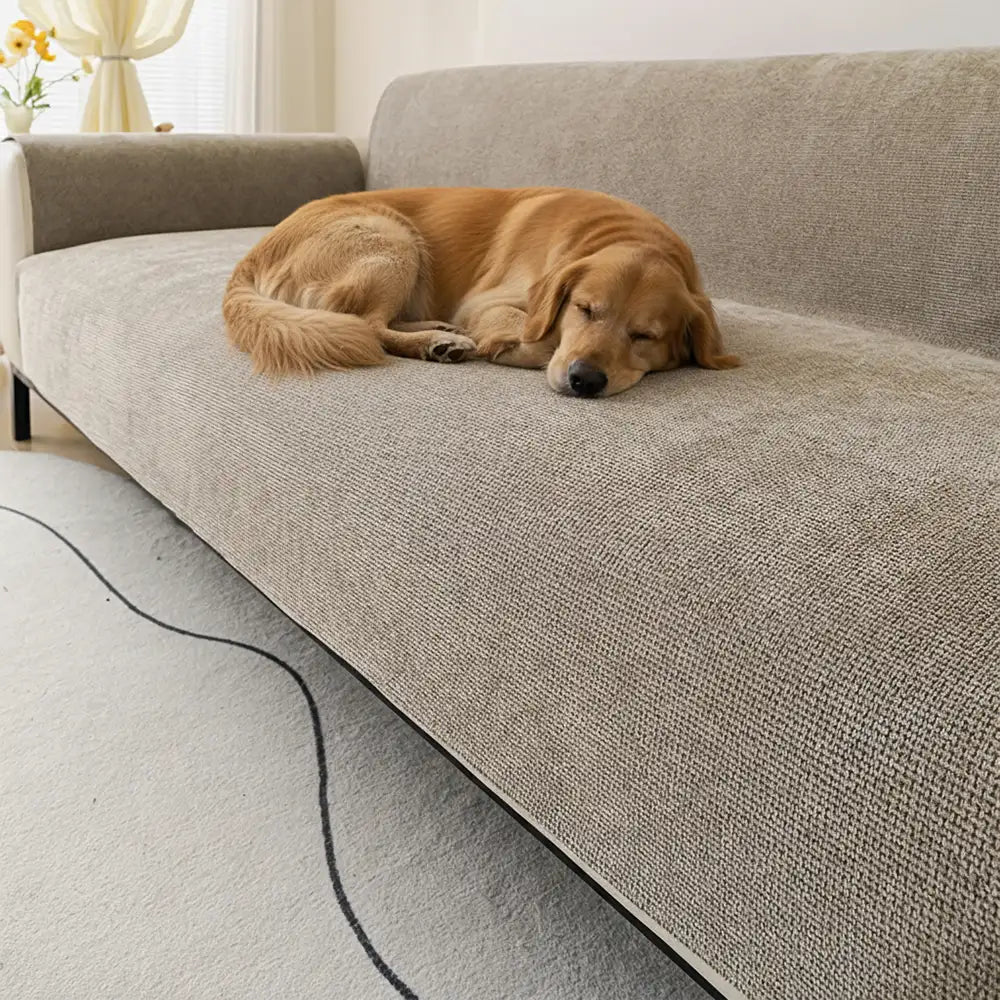 One-Piece Chenille Scratch-Resistant Durable Water-Repellent Non-Slip Couch Cover - Pawtique