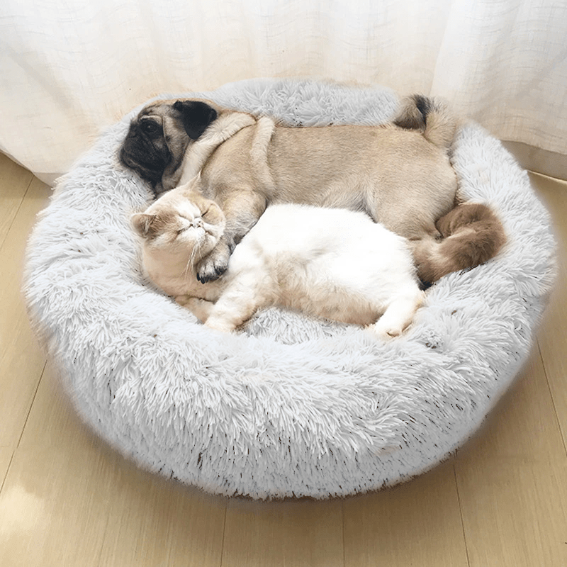 Original Calming Donut Cuddler Cat and Dog Bed - Pawtique