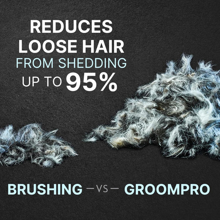 Original Shedding Blade - Pawtique