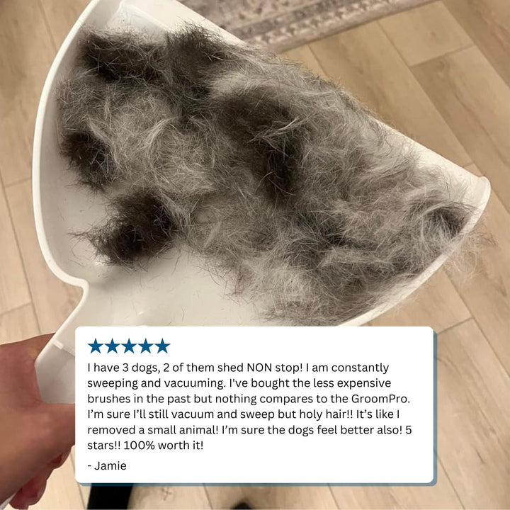 Original Shedding Blade - Pawtique