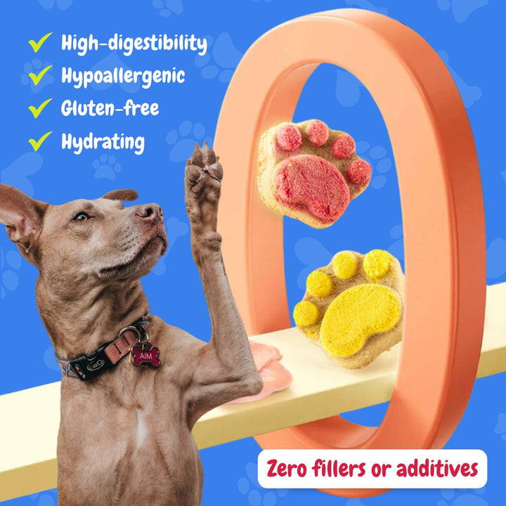 Paw Dog Treats (10 Pcs) - Pawtique