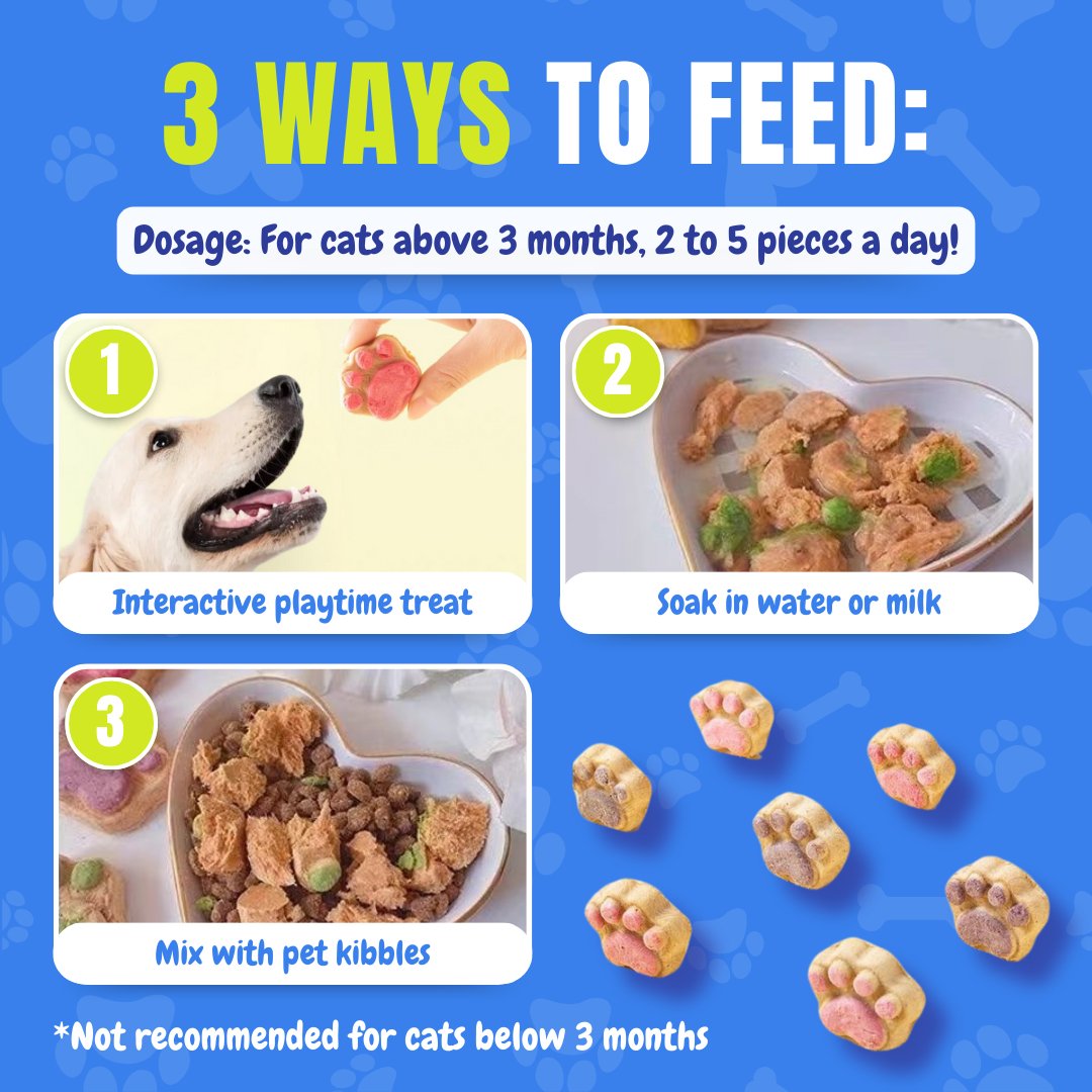 Paw Dog Treats (10 Pcs) - Pawtique