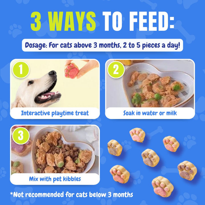 Paw Dog Treats (10 Pcs) - Pawtique