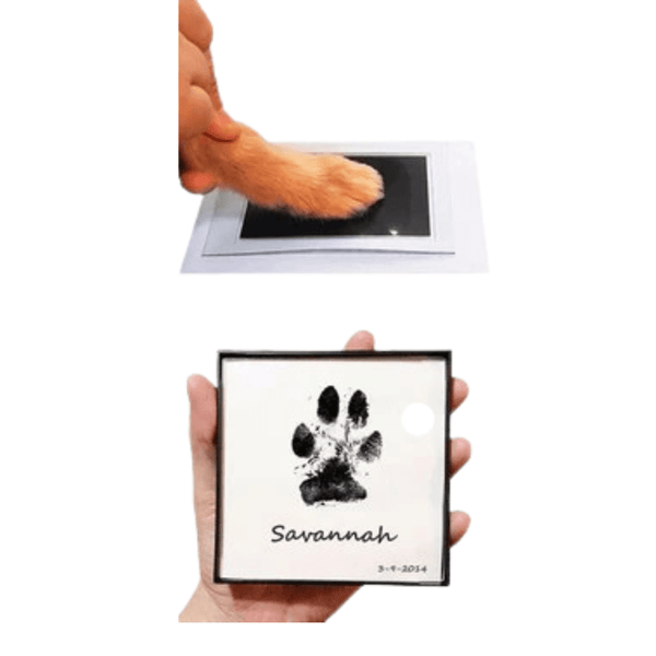 Paw Print Memory Ink Pad - Pawtique