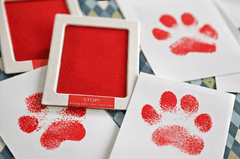 Paw Print Memory Ink Pad - Pawtique