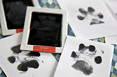 Paw Print Stamp - Pawtique