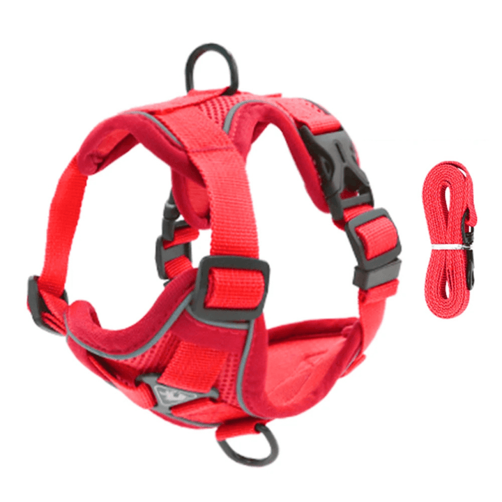 PawSecure – Harness for Dogs and Cats - Pawtique