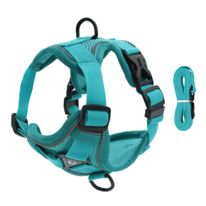 PawSecure – Harness for Dogs and Cats - Pawtique