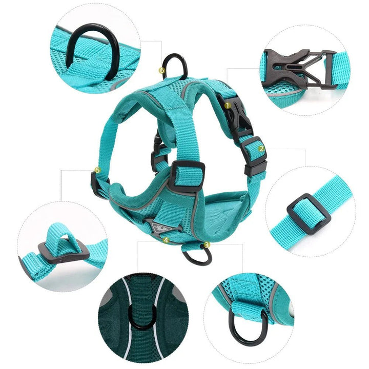 PawSecure – Harness for Dogs and Cats - Pawtique