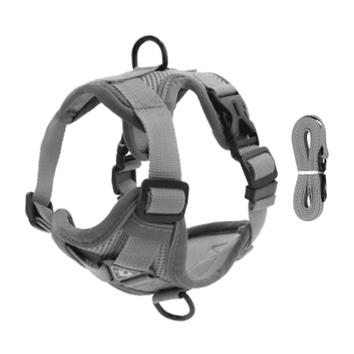 PawSecure – Harness for Dogs and Cats - Pawtique
