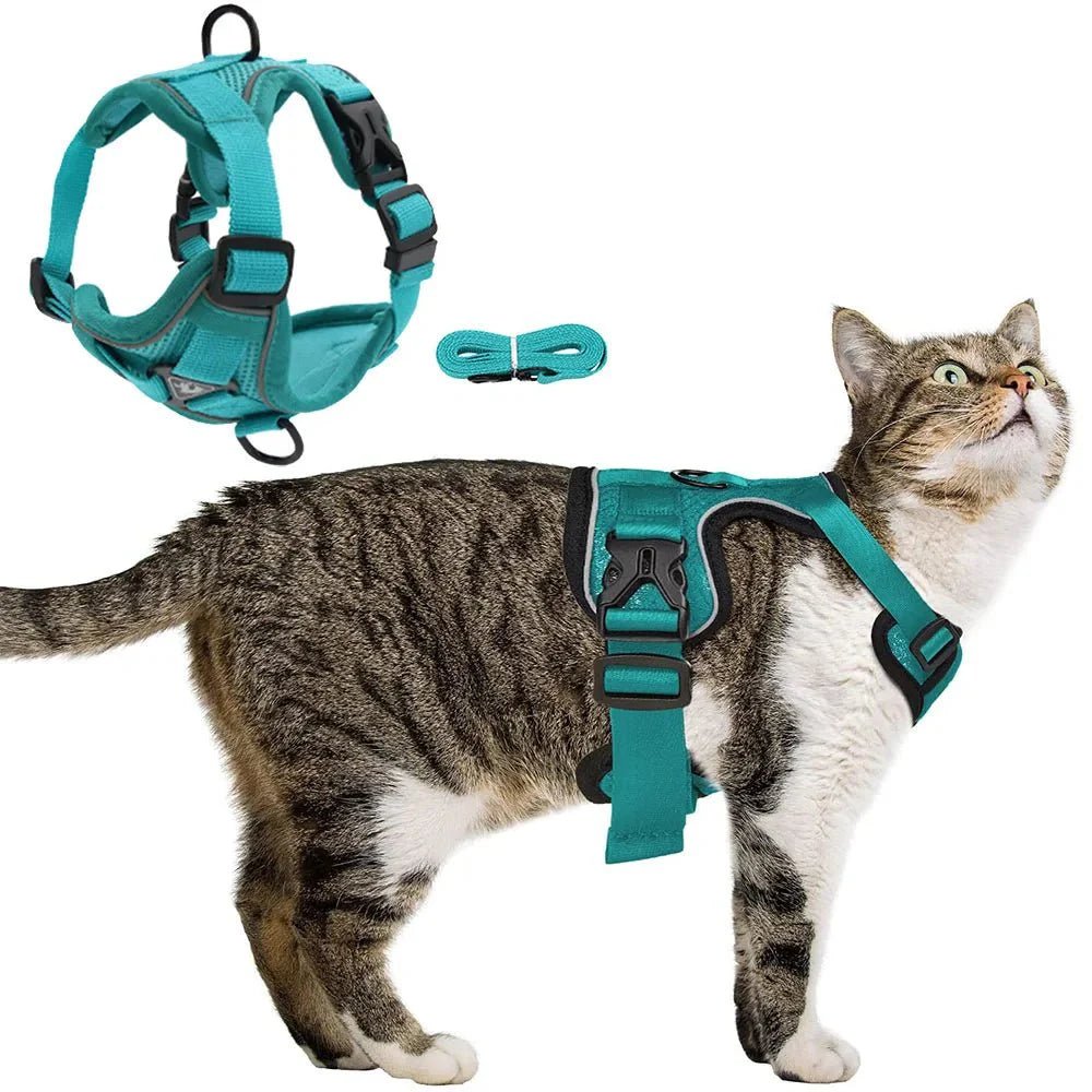 PawSecure – Harness for Dogs and Cats - Pawtique