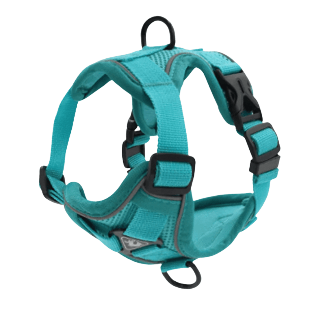 PawSecure – Harness for Dogs and Cats - Pawtique