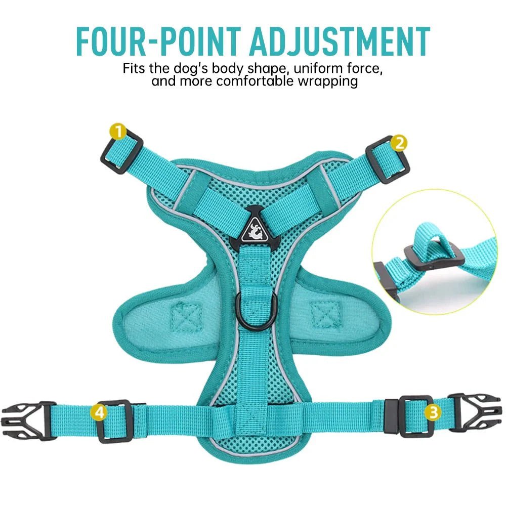 PawSecure – Harness for Dogs and Cats - Pawtique