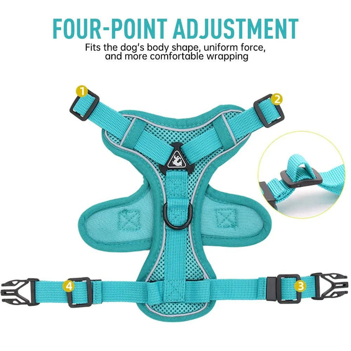 PawSecure – Harness for Dogs and Cats - Pawtique