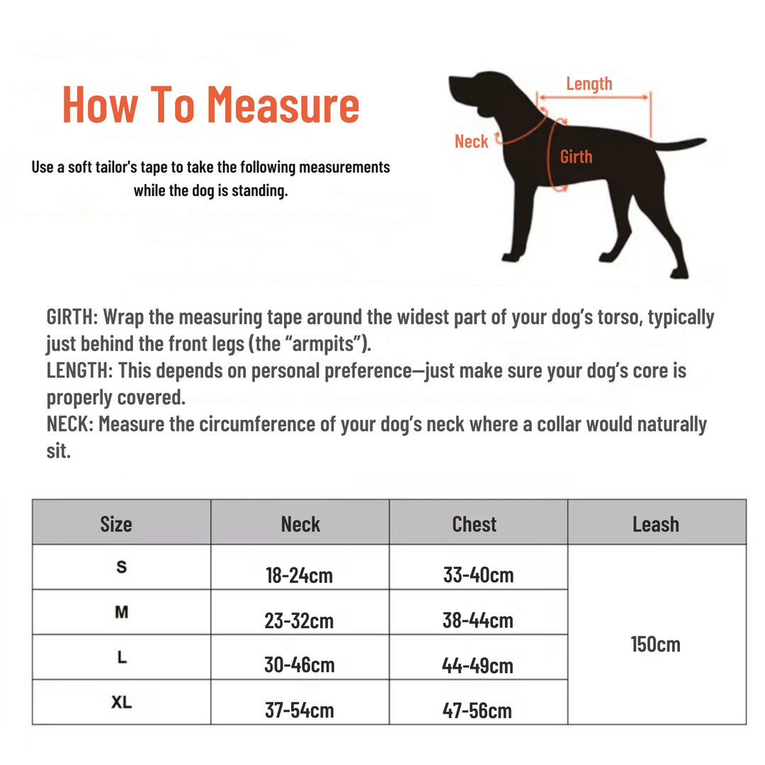 PawSecure – Harness for Dogs and Cats - Pawtique