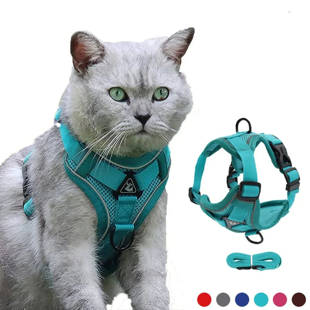 PawSecure – Harness for Dogs and Cats - Pawtique