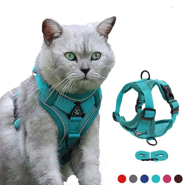 PawSecure – Harness for Dogs and Cats - Pawtique