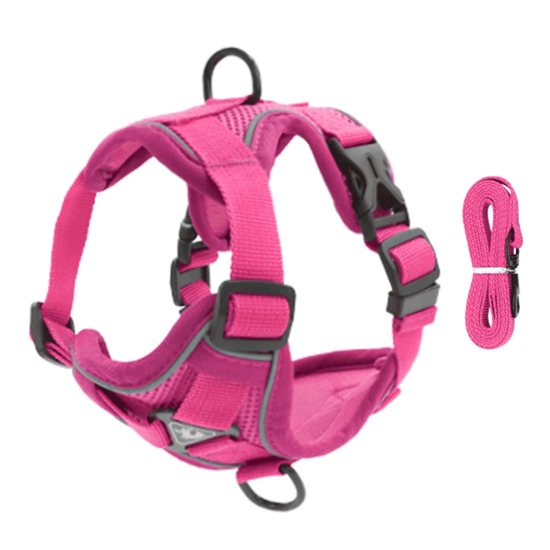 PawSecure – Harness for Dogs and Cats - Pawtique
