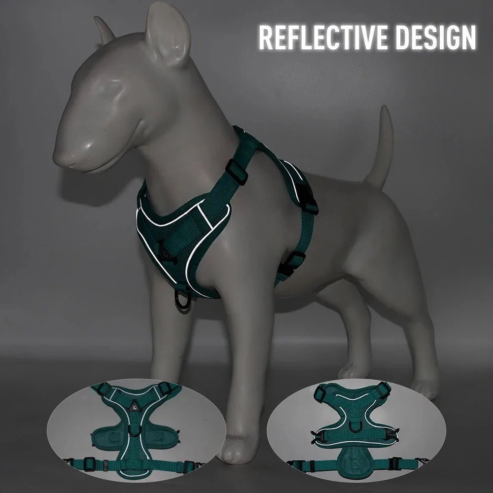 PawSecure – Harness for Dogs and Cats - Pawtique