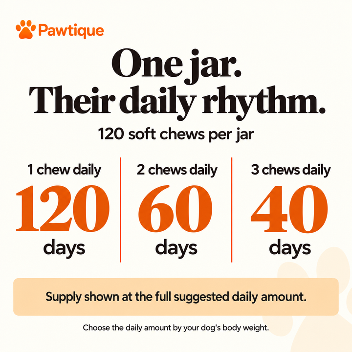 A 120-count jar provides 120, 60, or 40 days at one, two, or three chews daily