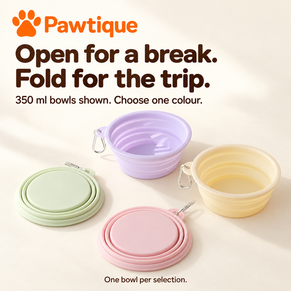 350 ml pastel bowls shown expanded and folded; one bowl per selected colour