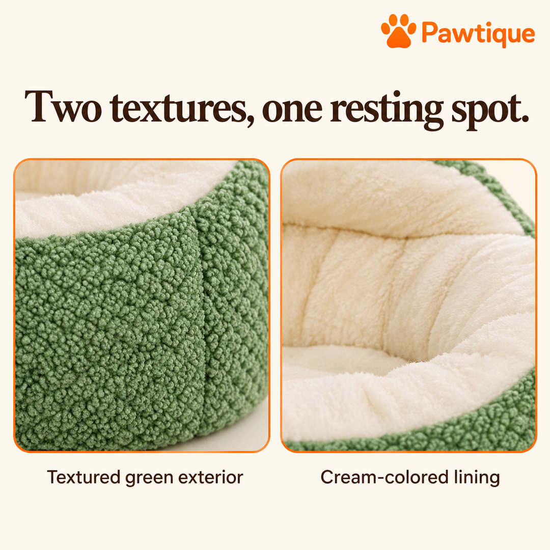 Frog bed close-ups comparing the textured green exterior and cream-colored lining.