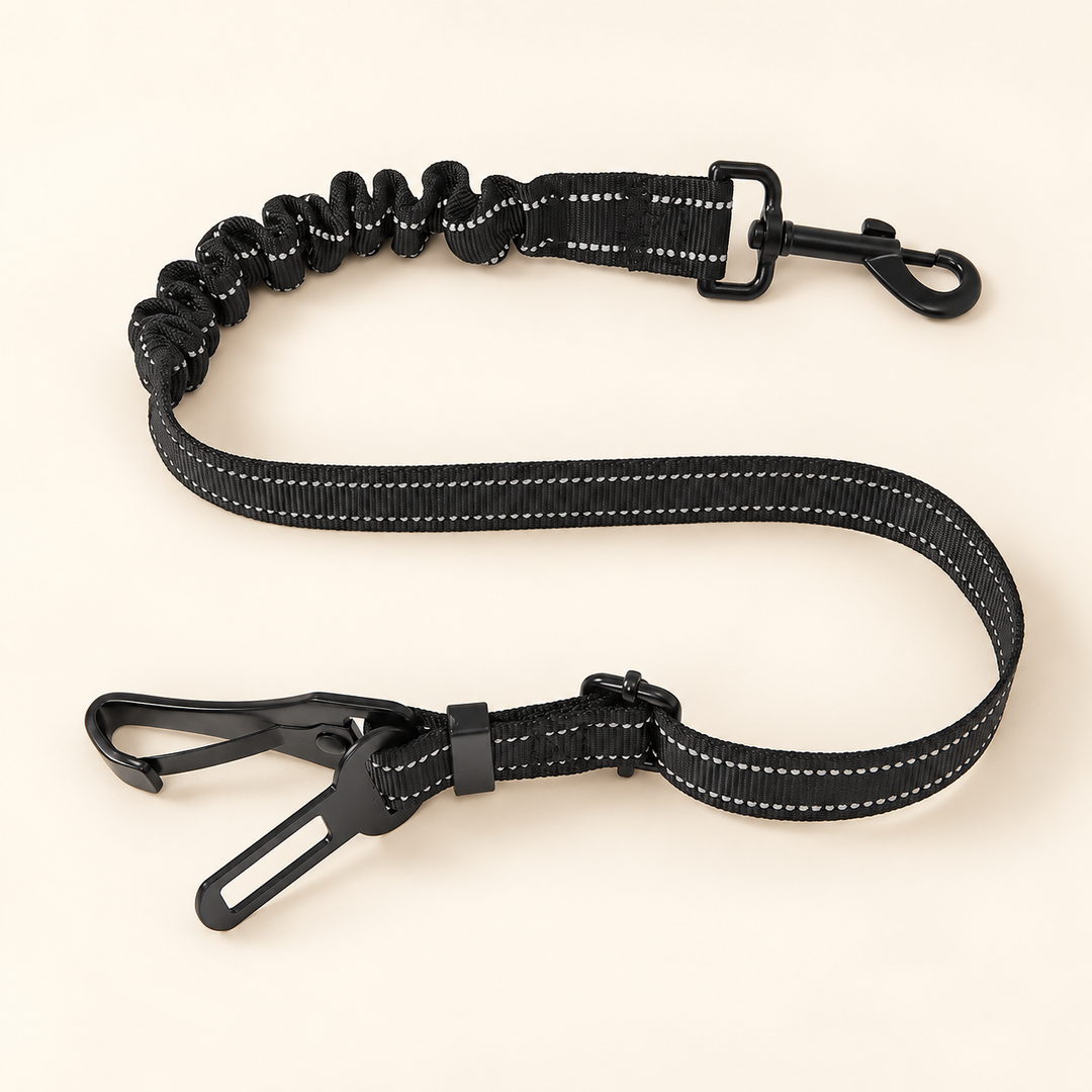 Black bungee car tether with black harness snap, adjustable webbing, seat-belt tongue and extra carabiner