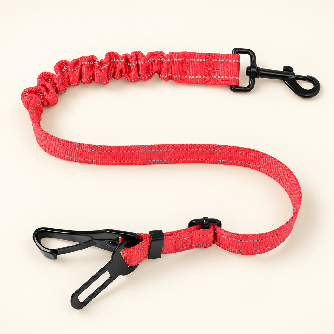 Red bungee car tether with black harness snap, seat-belt tongue and extra carabiner