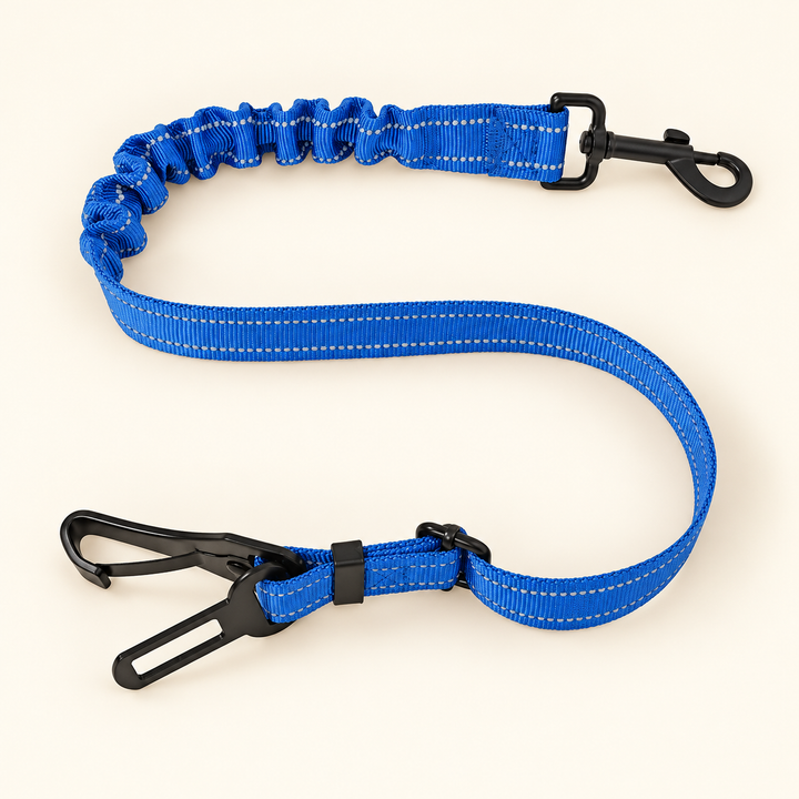 Blue bungee car tether with black harness snap, seat-belt tongue and extra carabiner