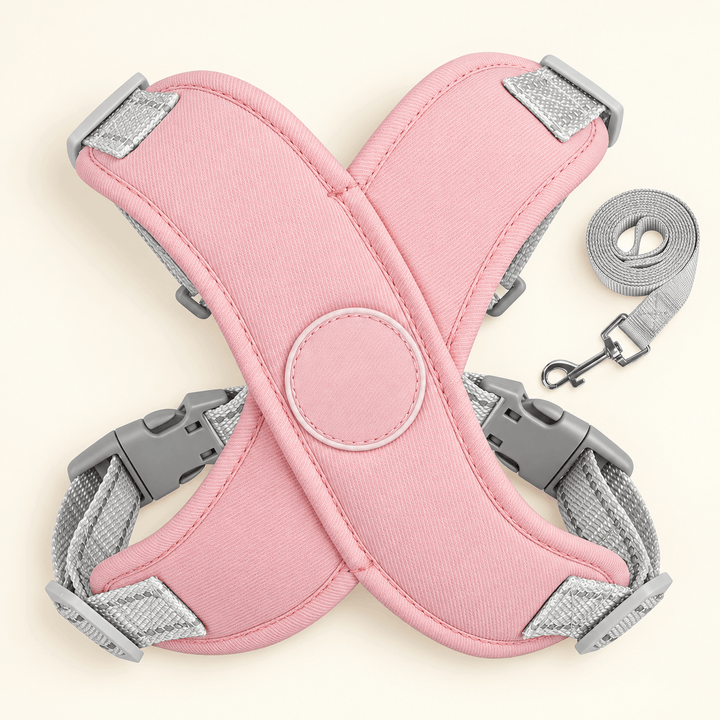 Pawtique AirCross™ Padded Dog Harness &amp; Leash Set - Pawtique