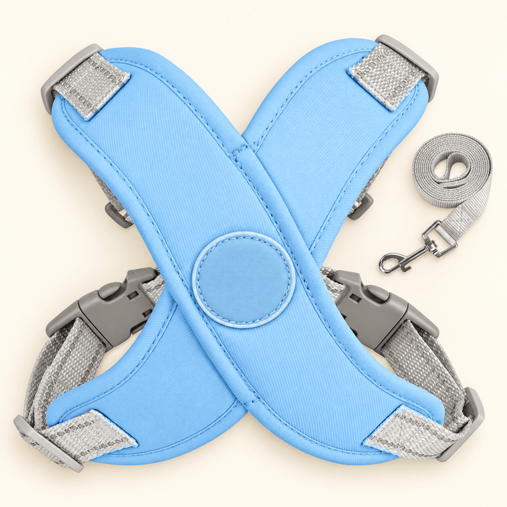 Pawtique AirCross™ Padded Dog Harness &amp; Leash Set - Pawtique