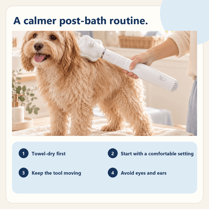 Pawtique AirGroom™ 3-in-1 Pet Dryer Brush - Pawtique