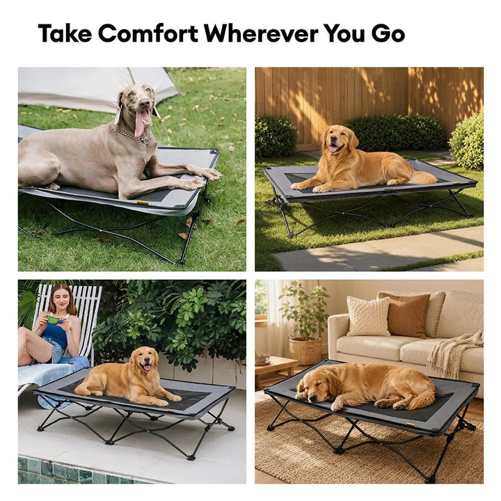 Pawtique AirLift™ Folding Elevated Dog Cot - Pawtique