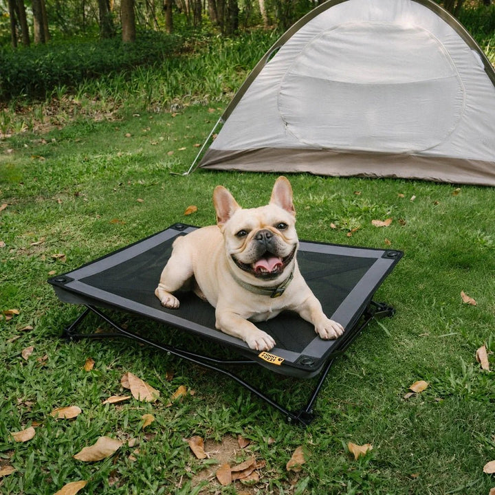 Pawtique AirLift™ Folding Elevated Dog Cot - Pawtique