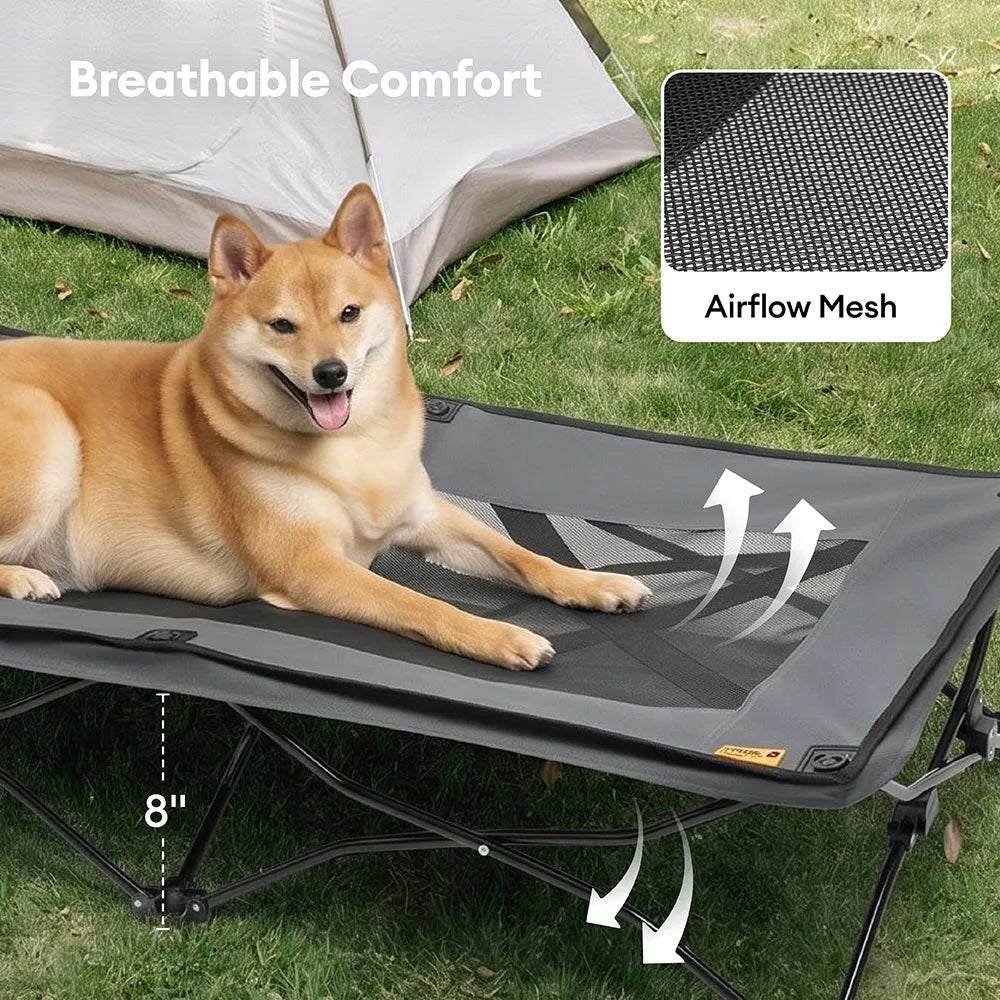 Pawtique AirLift™ Folding Elevated Dog Cot - Pawtique