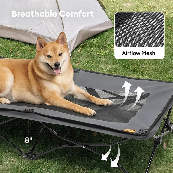 Pawtique AirLift™ Folding Elevated Dog Cot - Pawtique
